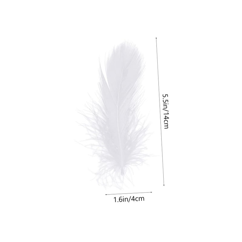 White Color 200 Pcs DIY Craft Decor For Weddings Parties Dream Catchers Photo Shoots - Image 3