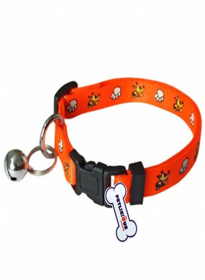 PETLICIOUS & MORE طوق صغير للقطط والجراء مصنوع من النايلون الناعم من بيتليشوس آند مور (المقاس - 10 مم، صغير، قد يختلف اللون، عبوة من قطعتين) - Image 3