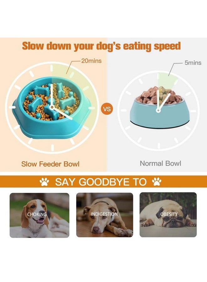 وعاء طعام تدريب الحيوانات الأليفة | وعاء طعام بطيء غير سام | وعاء طعام مضاد للاختناق للقطط والكلاب - قطعة واحدة - Image 5
