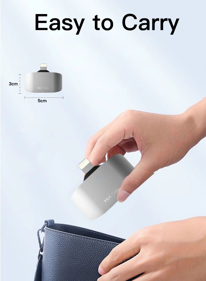SD Card Reader for iPhone  iPad with Lighting interface, Supports SD, TF Card, Micro SD Card, Sliver