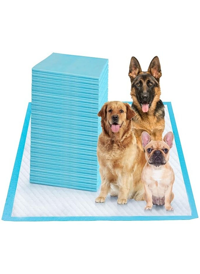 ShineShe 40 Pieces Disposable Quick Drying Leak-Proof Pee Pads, Water Absorption Increased by 80%+, More Polymer Resin & Wood Pulp Added, 60 X 60cm  - Image 1