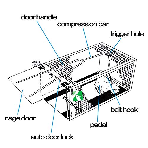 Kensizer 2-Pack Humane Rat Trap, Chipmunk Rodent Trap that Work for Indoor and Outdoor Small Animal - Mouse Voles Hamsters Live Cage Catch and Release - Image 3