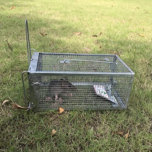 Kensizer 2-Pack Humane Rat Trap, Chipmunk Rodent Trap that Work for Indoor and Outdoor Small Animal - Mouse Voles Hamsters Live Cage Catch and Release - Image 5