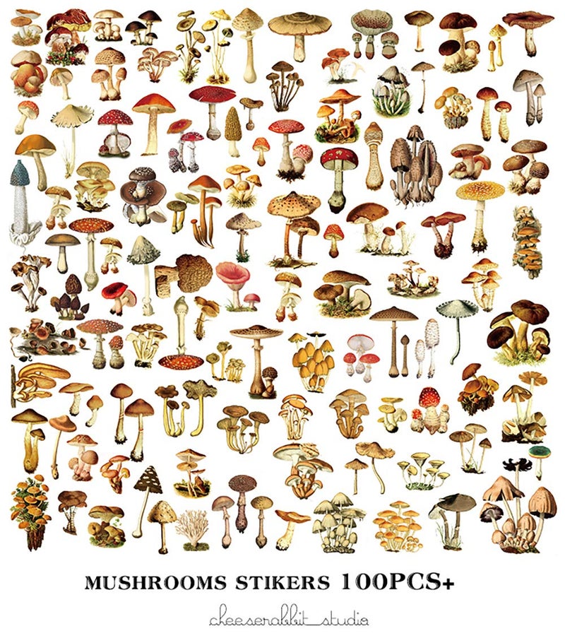 Doraking Mushroom Stickers - 100PCS Waterproof Paper Decals for Scrapbook Decoration, Sulfuric Adhesive, Irregular Shape, All in One Variety Pack - Image 2