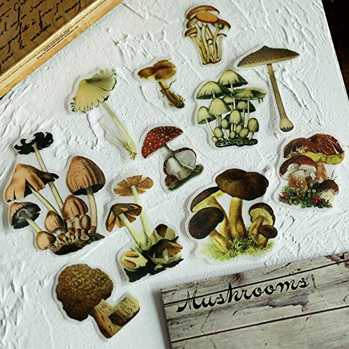 Doraking Mushroom Stickers - 100PCS Waterproof Paper Decals for Scrapbook Decoration, Sulfuric Adhesive, Irregular Shape, All in One Variety Pack - Image 3