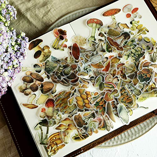 Doraking Mushroom Stickers - 100PCS Waterproof Paper Decals for Scrapbook Decoration, Sulfuric Adhesive, Irregular Shape, All in One Variety Pack - Image 4