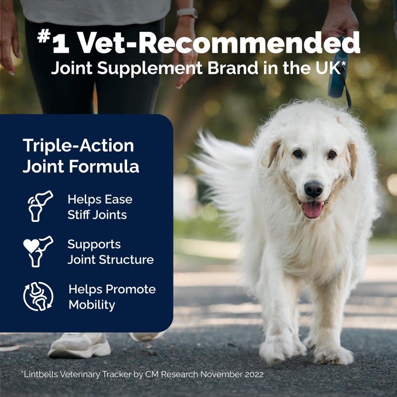 Yumove Hip & Joint Supplement for Dogs - with Glucosamine Chondroitin, Omega 3, Hyaluronic Acid, Green Lipped Mussel & Fish Oil for Dogs - Senior Dog Joint Supplement (120ct Chewable Tablets) - Image 3