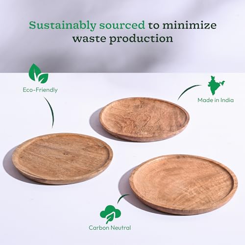 UGAOO Wooden Round Bottom Tray (Plate/Saucer) (Set of 3, 11 cm) | Suitable for Small Round Pots| Heavy Duty, Highly Durable Plant Saucer for Indoor Home Decor & Outdoor Balcony Garden - Image 4