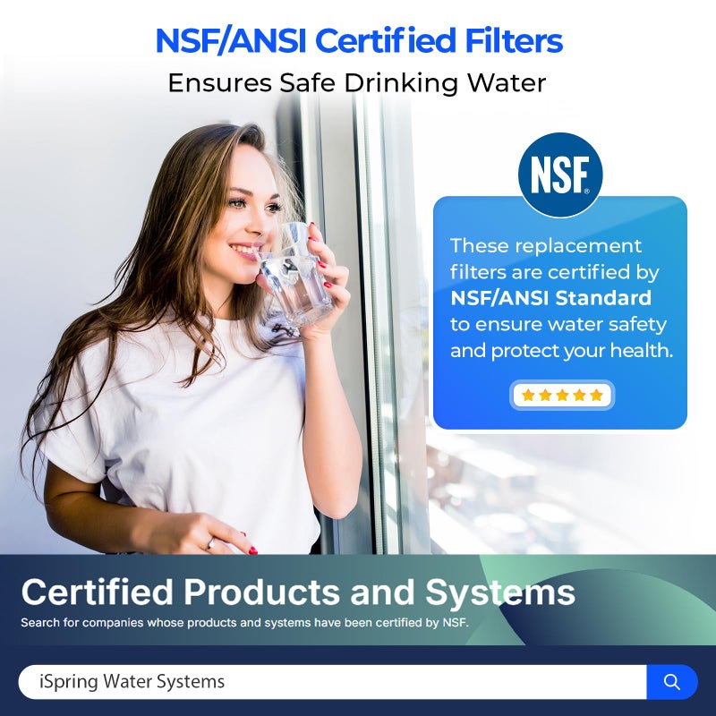 iSpring F22-75 NSF Certified 3-Year Replacement Filter Pack, For Standard 5-Stage RO Systems, Reduces PFAS, Chlorine, Bad Taste & Odor, 22 Pieces - Image 2