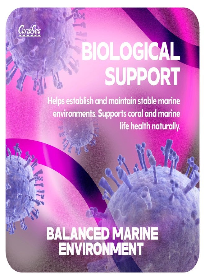 كاريب سي منطقة تفتيت الصخور من كاريبسي لايف - 2.25 رطل - قواعد تثبيت طبيعية مصنوعة من الأراغونيت لأحواض الشعاب المرجانية - مثالية لنمو تفتيت المرجان - تدعم التصاق المرجان بشكل صحي - Image 4