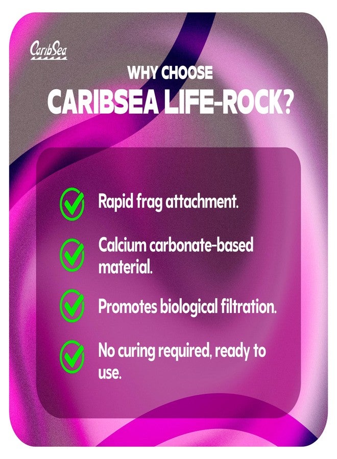 كاريب سي منطقة تفتيت الصخور من كاريبسي لايف - 2.25 رطل - قواعد تثبيت طبيعية مصنوعة من الأراغونيت لأحواض الشعاب المرجانية - مثالية لنمو تفتيت المرجان - تدعم التصاق المرجان بشكل صحي - Image 3