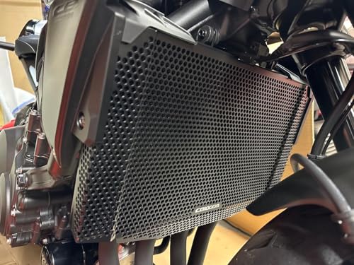 LANQIAN CB1000R 2024 Motorcycle Radiator Grille Guard Cover for CB1000R 2021 2022 2023 2024 for CB1000R Neo Sports Cafe 2021-2024 - Image 2