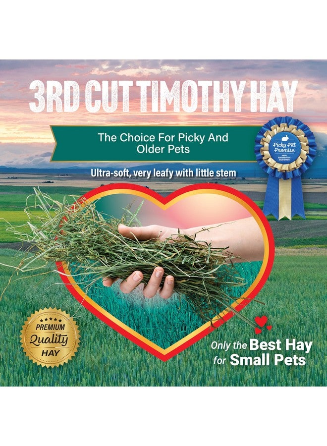 Small Pet Select 3Rd Cutting "Super Soft" Timothy Hay Pet Food, 2 Lb., green, 2 Pound (Pack of 1), 32 Ounce - Image 5