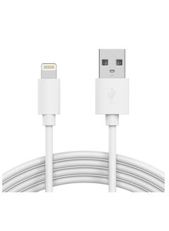 Apple Lightning to USB Cable