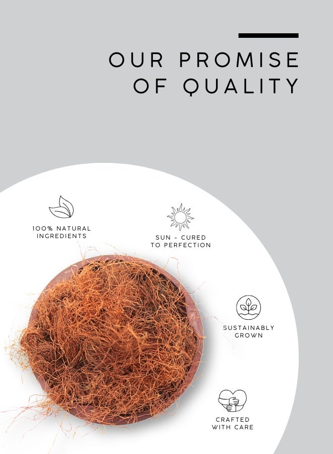 أباميك خيوط ذرة مجففة وطبيعية من أوافي ميل | خيوط ذهبية لمشروبات عشبية خفيفة - 500 غرام | 17.6 أونصة - Image 4