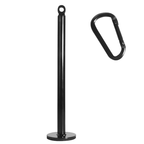 powerfeng Loading Pin for Weight Plates Weight Loading Pin with Carabiner Fit 1 inch Olympic Weight Plate for Cable Pulley LAT Pulldown 1in Weight Loading Pin - Image 1