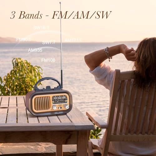 PRUNUS J-150BTS Portable FM Radio with Bluetooth Speaker, USB, Micro SD Card Slot, MP3 Player 3 Bands with a Solar Panel(Gold) - Image 2