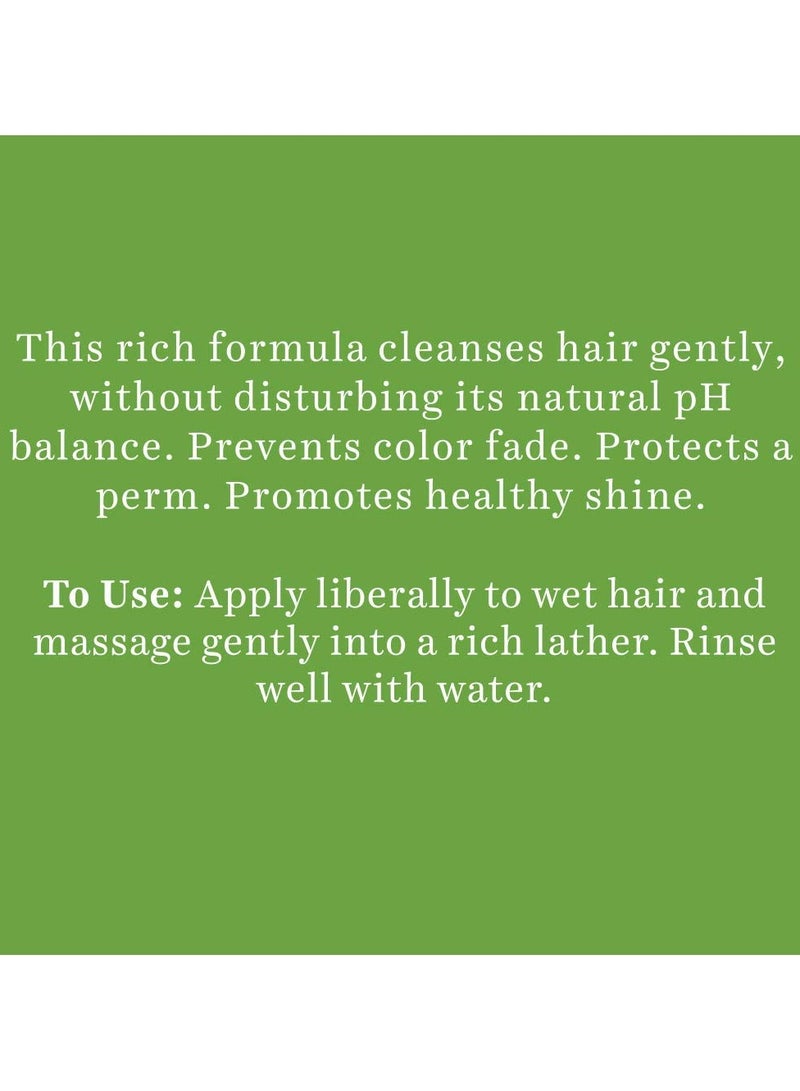 بيوتيك شامبو بروتين الصويا الحيوي يعمل على إصلاح الشعر الجاف التالف وتوازن درجة الحموضة في الشعر ويمنع بهتان اللون 180 مل - Image 3