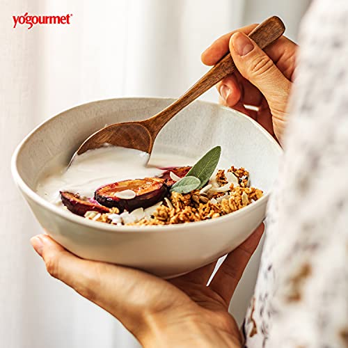 Yogourmet بدء الزبادي من يوجورميت (16 عبوة) - اصنع الزبادي في المنزل - ثقافة البداية - طبيعية بالكامل، خالية من الغلوتين، كوشير، حلال - أكياس 3 جرام - Image 5