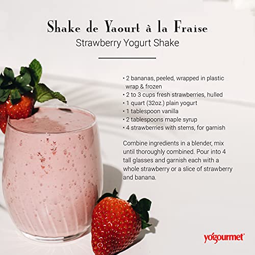 Yogourmet بدء الزبادي من يوجورميت (16 عبوة) - اصنع الزبادي في المنزل - ثقافة البداية - طبيعية بالكامل، خالية من الغلوتين، كوشير، حلال - أكياس 3 جرام - Image 4