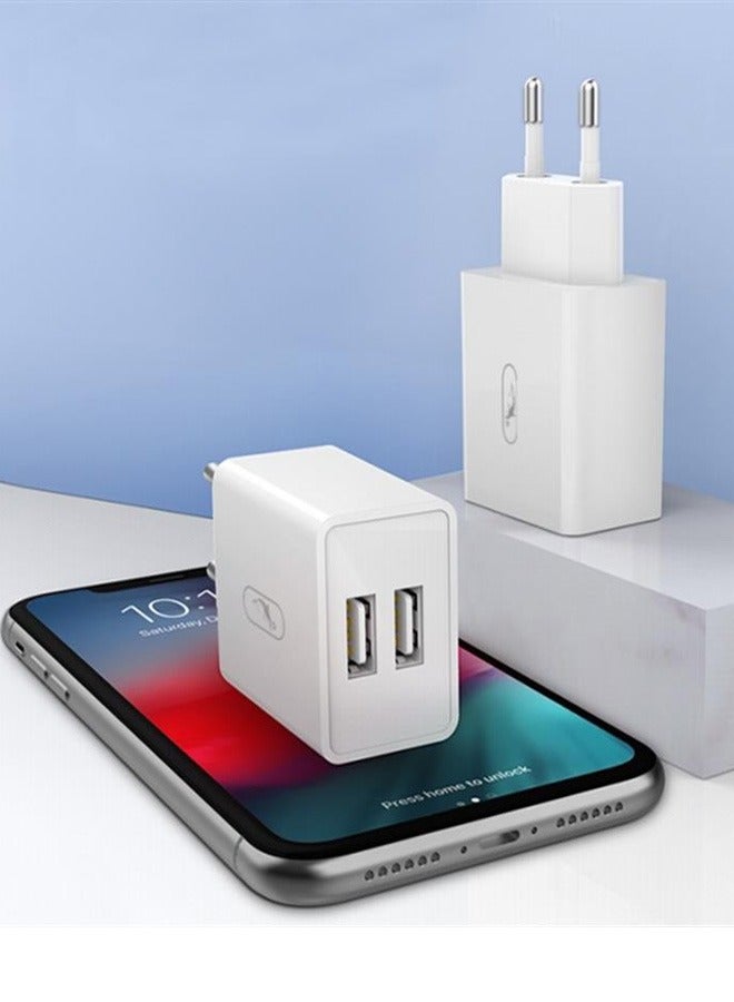 SKY DOLPHIN Fast Charge Lightning 2.1A Dual Charger With 1M Lightning Cable Compatible With All Devices  - Image 3