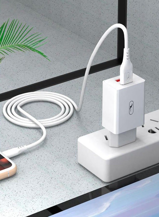 SKY DOLPHIN Fast Charge Lightning 2.1A Dual Charger With 1M Lightning Cable Compatible With All Devices  - Image 5