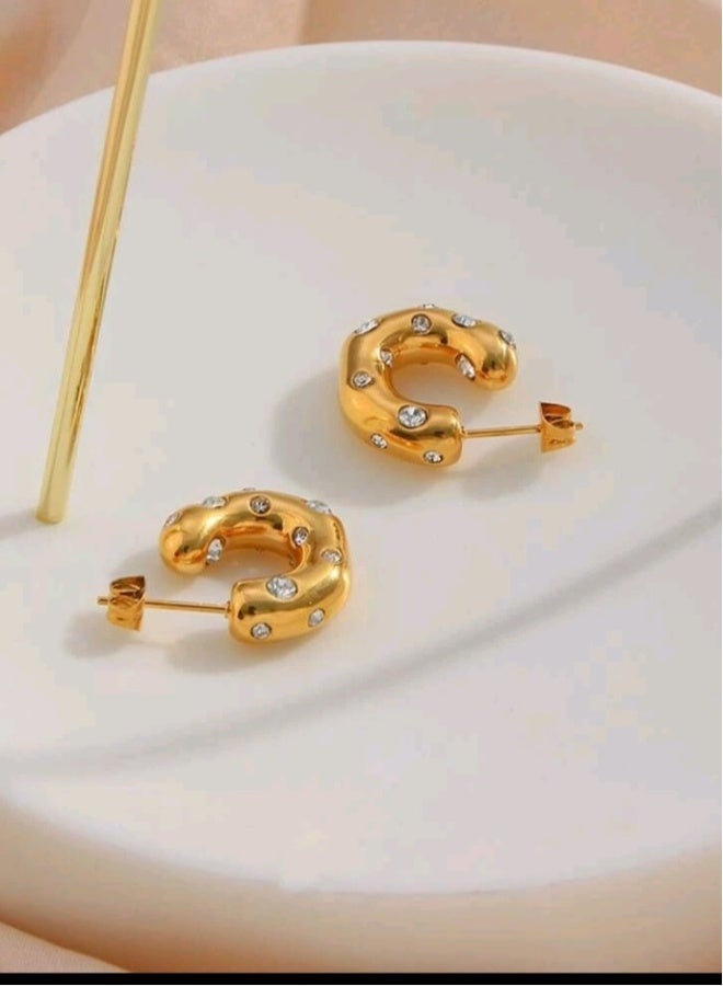Elegant Trendy Earrings For Women