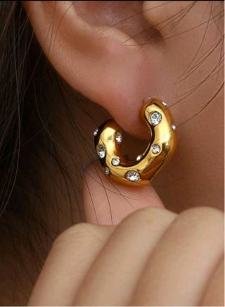 Elegant Trendy Earrings For Women - pzsku/ZDB0B3DF755340E204D1FZ/45/1746698091/cf7ab726-9a7b-401e-bfbd-9096666c0019