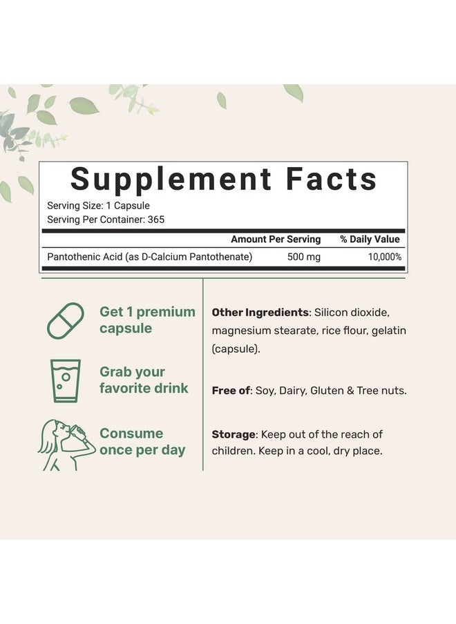 Micro Ingredients - Pantothenic Acid Vitamin B5 Supplement Vitamin B5 500Mg Per Count 365 Capsules (1 Year Supply) Bcomplex Vitamin Support Energy Production And Nervous System Nongmo - Image 1