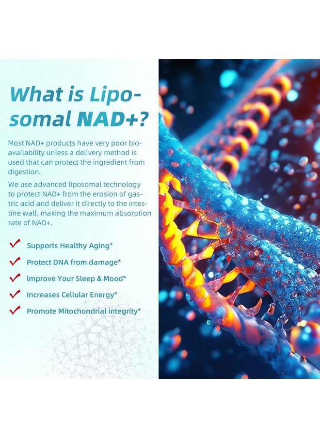 BIYODE - BIYODE NAD+ Capsules Supplement: Ultra Strength Liposomal Resveratrol Boost Cellular Health Stamina Support Healthy Aging with 1500mg NAD Plus Supplement 90 Capsules 45 Day Supply - Image 1