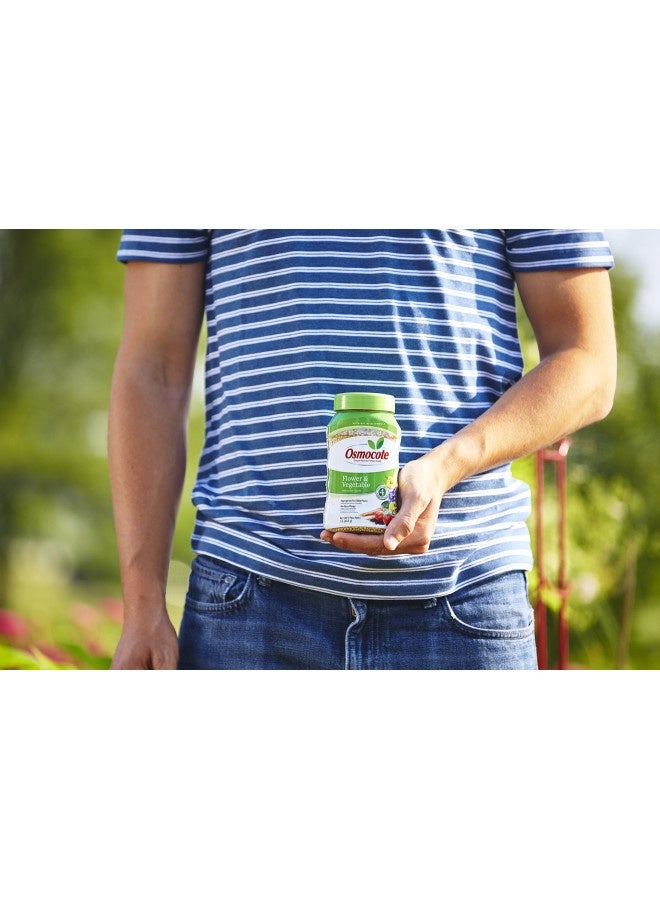 Generic Osmocote Smart-Release Plant Food Flower And Vegetable, 1 Lb. - Image 1