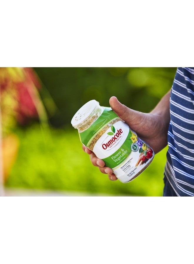 Generic Osmocote Smart-Release Plant Food Flower And Vegetable, 1 Lb. - Image 2