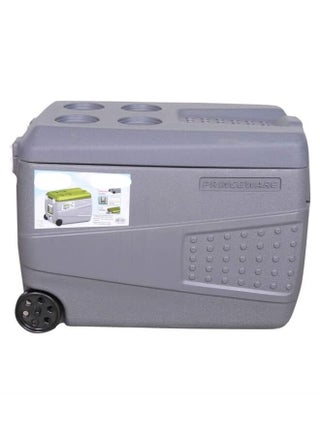 Ice Box 50 Ltr Wheel with Drain Tap and Insulated Door - Grey - pzsku/ZDB0C518AD25B6A019C1FZ/45/1746978696/e5a1d091-4c72-4e81-aba9-1c76e8be4514