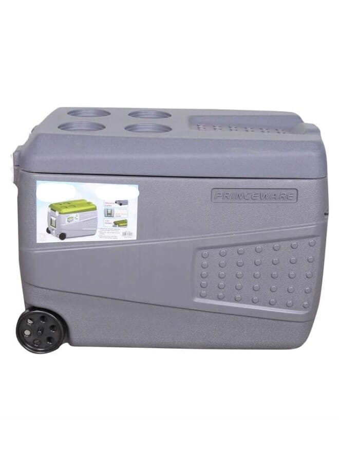 Ice Box 50 Ltr Wheel with Drain Tap and Insulated Door - Grey