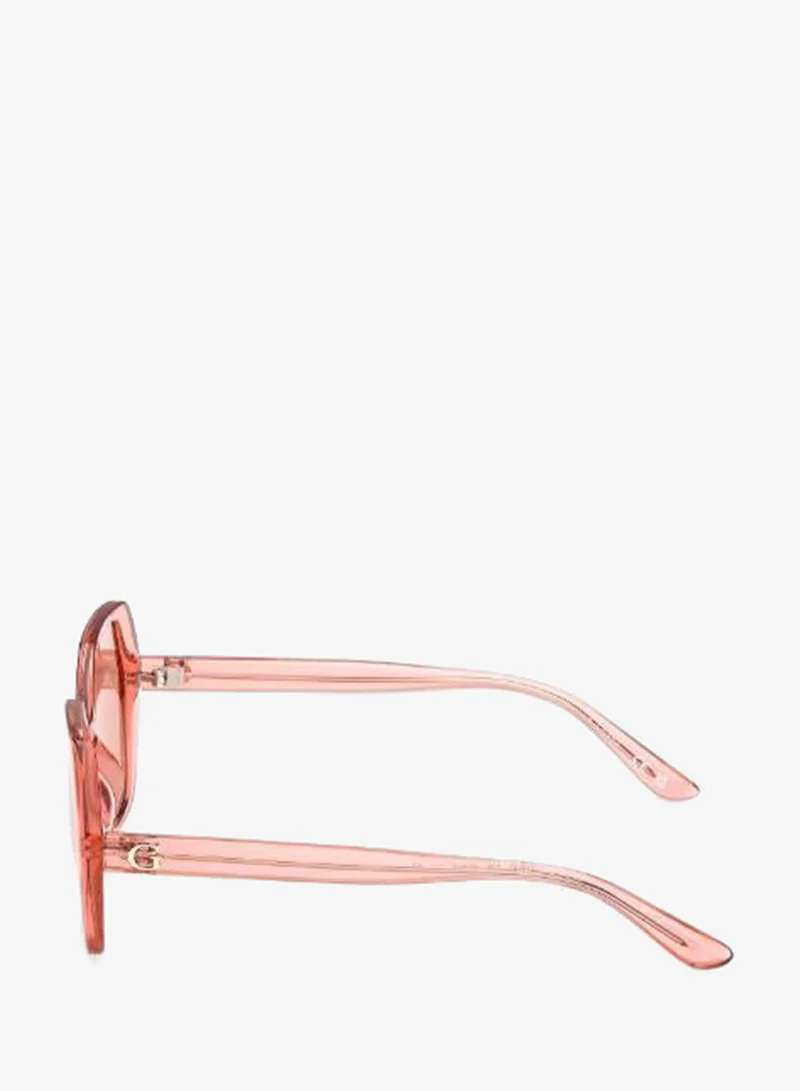 Guess  Wayfarers Sunglasses for Women | Best Price UAE