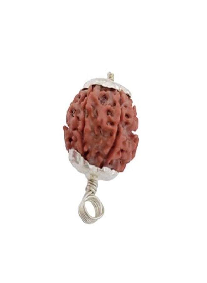 Certified Gems 6 Mukhi Rudraksha Pendant 6 Face Rudraksha 6 Mukhi Rudraksha Original Certified Nepal 6 मुखी Shiva 6 Mukhi Nepali Rudraksha Six Mukhi Rudraksha by Certified Gems - Image 1