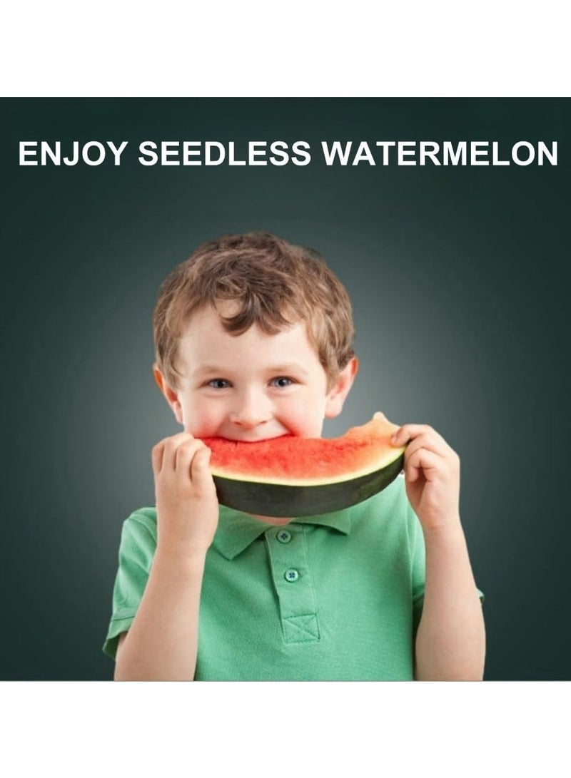 Oasisgalore Watermelon Seed Remover Tool，Stainless Steel Fruit Seed Removal Tool Kitchen Corer Tool  - Image 5