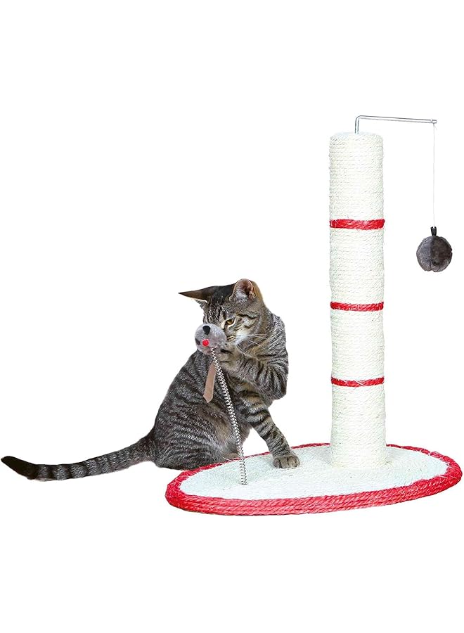 تريكسي سكراتش مي بوست 50 سم - Image 1