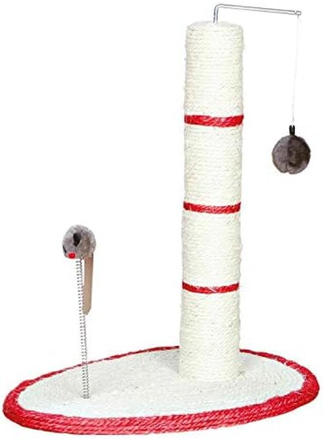 تريكسي سكراتش مي بوست 50 سم - Image 4