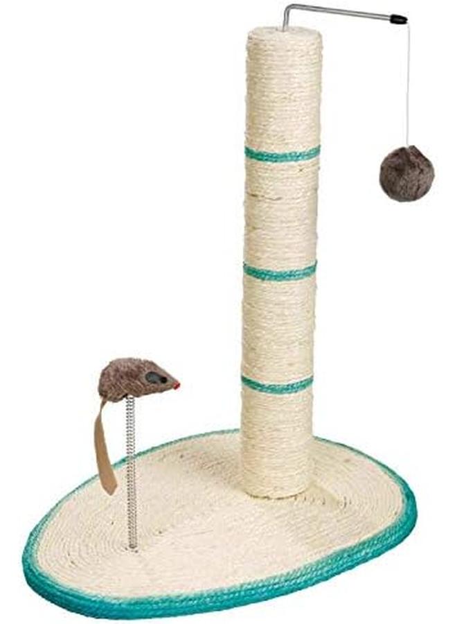 تريكسي سكراتش مي بوست 50 سم - Image 3