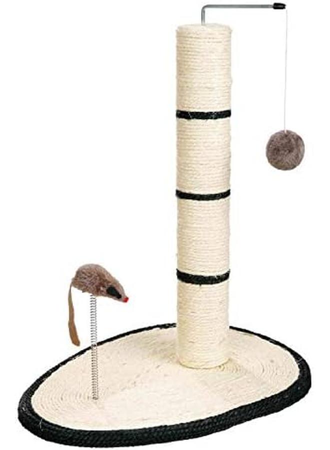 تريكسي سكراتش مي بوست 50 سم - Image 2