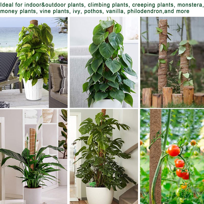 Fabulas Moss Pole 47.5 Inch - Monstera Plant Support, 4 Packs 16 Inch Plant Stakes for Indoor Plants Coco Coir Moss Pole Sticks for Climbing Potted Live Plants, Pothos, Philodendron, with Garden Ties - Image 5