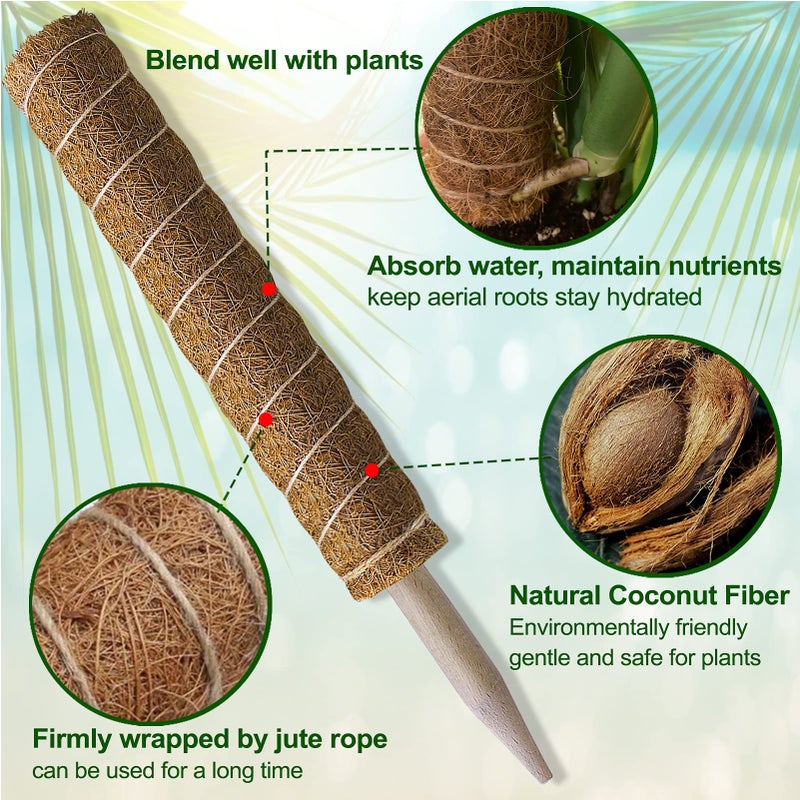 Fabulas Moss Pole 47.5 Inch - Monstera Plant Support, 4 Packs 16 Inch Plant Stakes for Indoor Plants Coco Coir Moss Pole Sticks for Climbing Potted Live Plants, Pothos, Philodendron, with Garden Ties - Image 3