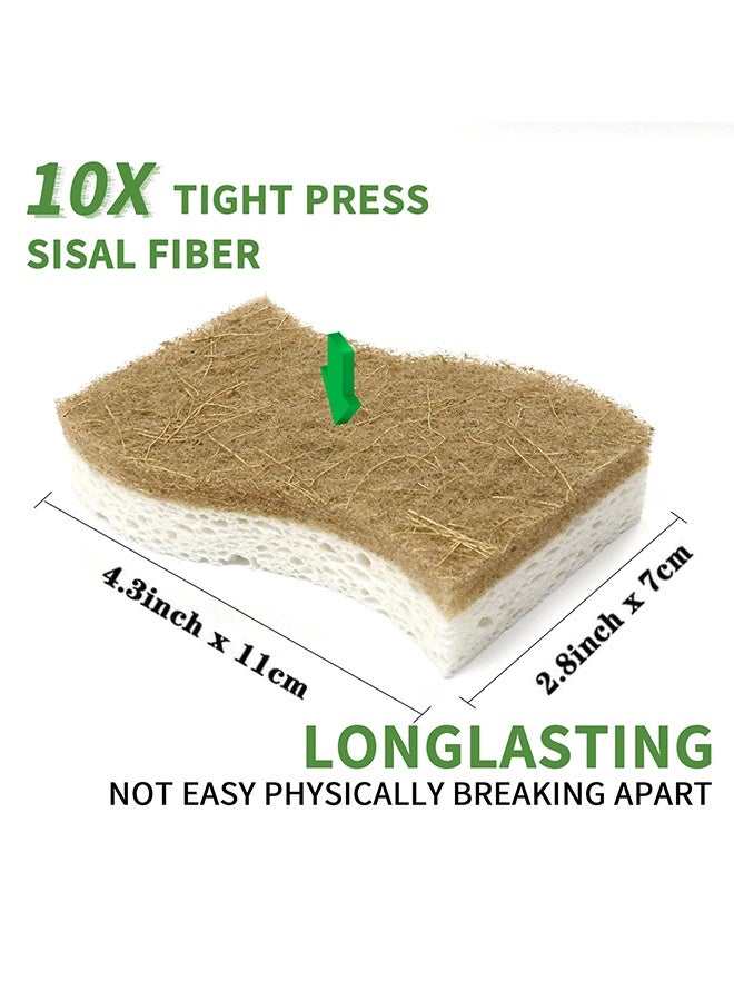 الوجبة عبوة من 9 قطع إسفنجية للمطبخ، إسفنجة مطبخ طبيعية قابلة للتحلل الحيوي، إسفنجة تنظيف من السليلوز وجوز الهند والجوز قابلة للتحلل الحيوي، إسفنجات صديقة للبيئة ومستدامة للأطباق المنزلية وأدوات الطبخ والحمام - Image 4