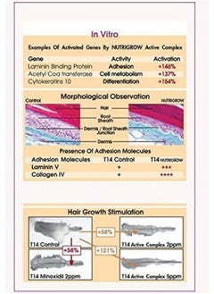 Nutrigrow Anti Hair Loss & Faster Growth Shampoo For Dry & Normal Hairs (300Ml)  - Image 3