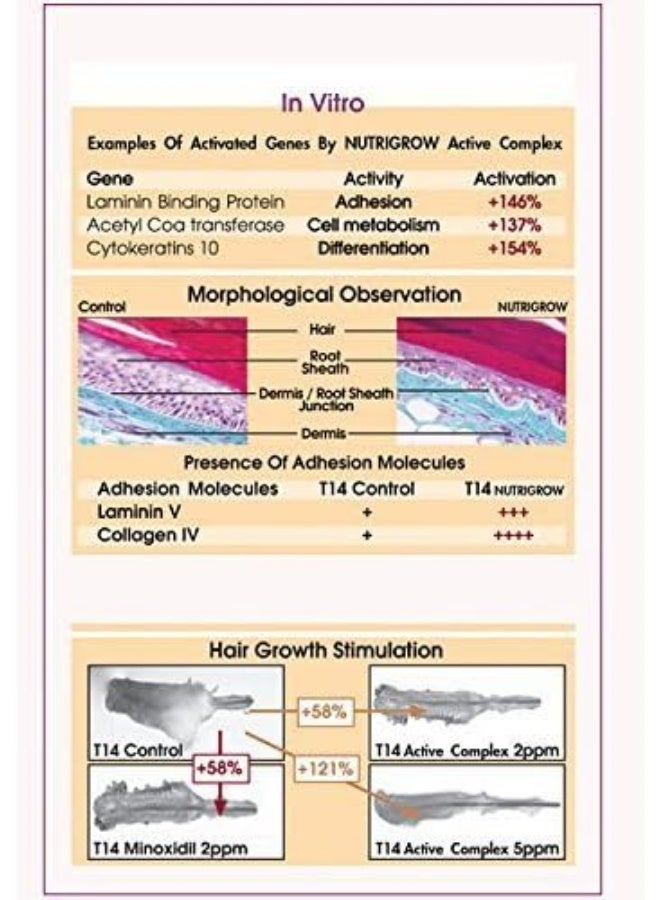 Nutrigrow Anti Hair Loss & Faster Growth Shampoo For Dry & Normal Hairs (300Ml) - Image 3