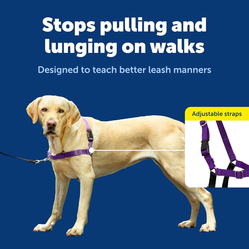 PetSafe Easy Walk No-Pull Dog Harness - Large, Deep Purple/Black - Image 4