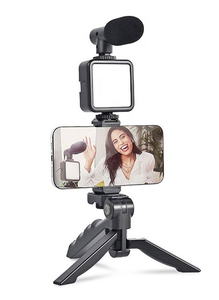 Generic - PK-773 Video Recording Kit with Microphone and Portable LED Light, 49 Beads, 3-Hour Battery - Image 1
