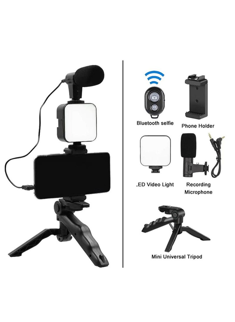 Generic - PK-773 Video Recording Kit with Microphone and Portable LED Light, 49 Beads, 3-Hour Battery - Image 1