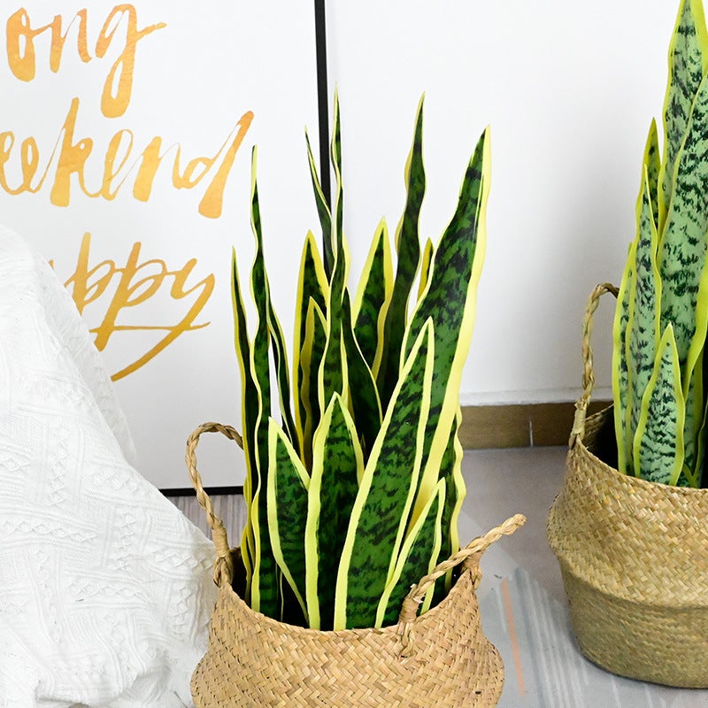 Simulated Tiger Orchid Single Potted Plant Decoration Indoor And Outdoor Home Green Plant Agave Sisal Bonsai Living Room Office - Image 4